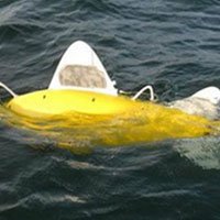 Peixe Robô Detecta Poluição nos Mares