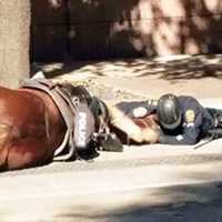 Policial se Recusa a Abandonar Seu Cavalo que Foi Atropelado Por um CaminhÃ£o