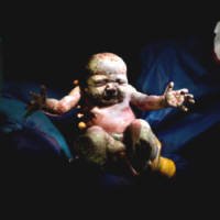 Fotógrafo Faz Retratos de Bebês Segundos Após Nascimento