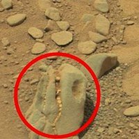 O Mistério de Fósseis de Dinossauro em Marte