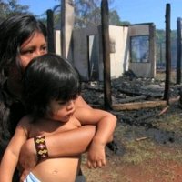 Criança Indígena é Queimada Viva por Madeireiros