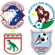 Os Escudos do Futebol Brasileiro Mais ExÃ³ticos