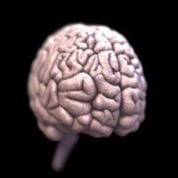 5 Fatos Surpreendentes Sobre o CÃ©rebro
