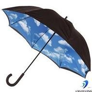Sky Umbrella: o Guarda-Chuva que lhe Anima em Dias de Chuva