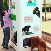 Campanha Turca Conscientiza Sobre Reciclagem e Ajuda Animais de Rua