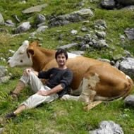 Vaca é Executada Após Seduzir Rapaz de 18 Anos