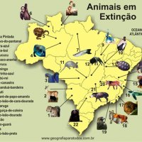 A Extinção da Fauna Brasileira