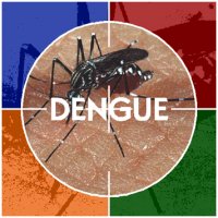 Surto de Dengue Ainda AmeaÃ§a 100 Cidades Brasileiras