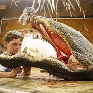 Menino de 5 Anos Mata Crocodilo nos EUA