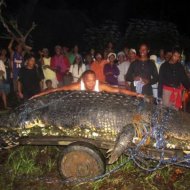 Filipinos Capturam Crocodilo de Mais de 1 Tonelada