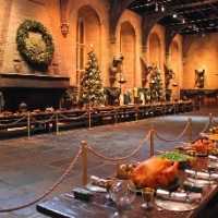 FÃ£s de Harry Potter VÃ£o Passar o Natal em Hogwarts